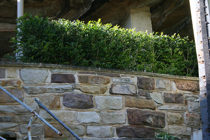 Sandstone Wall